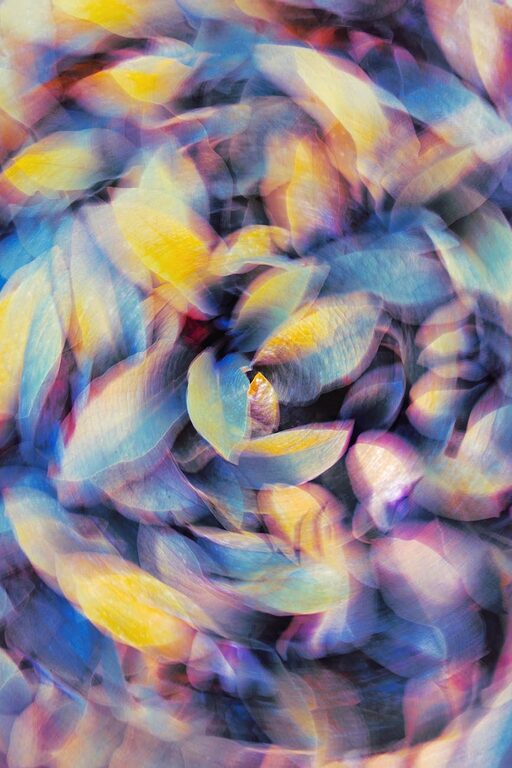 Beginner Tips for Taking Better Phone Photos Every Time